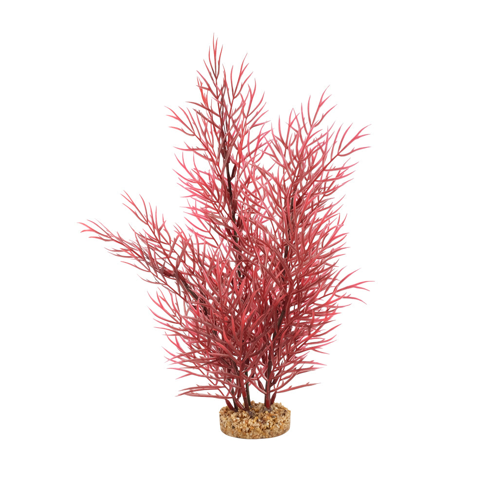 fluval-aqualife-scarlet-eichornea-14-inch