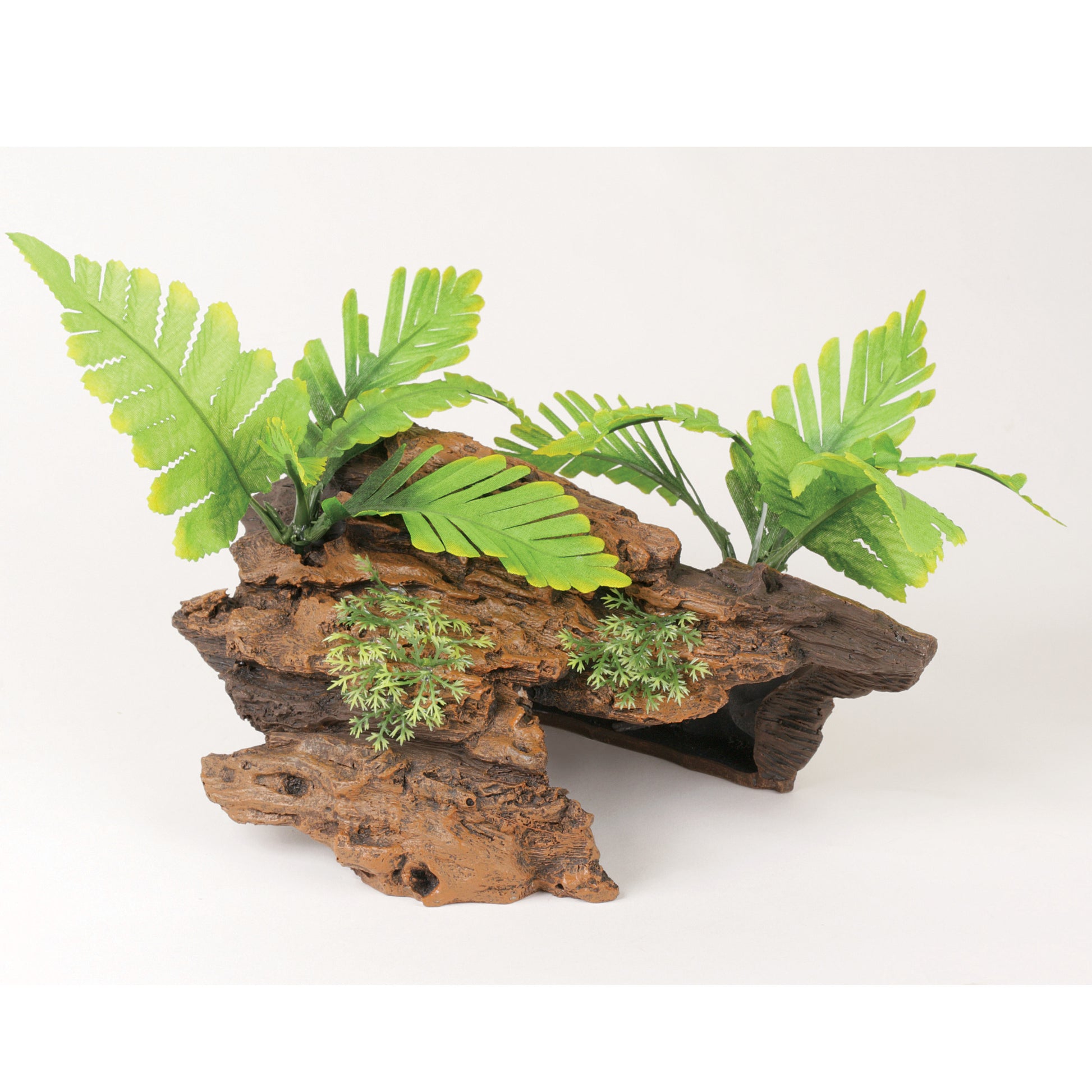 marina-malaysian-driftwood-plants-medium