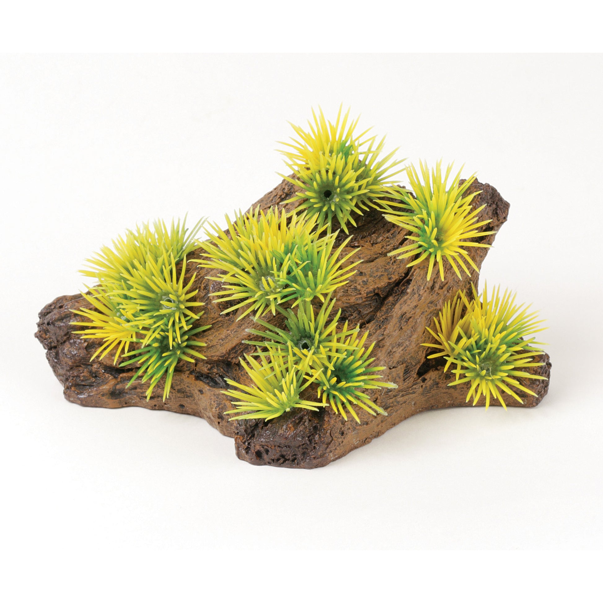 marina-naturals-foreground-driftwood-plants-small