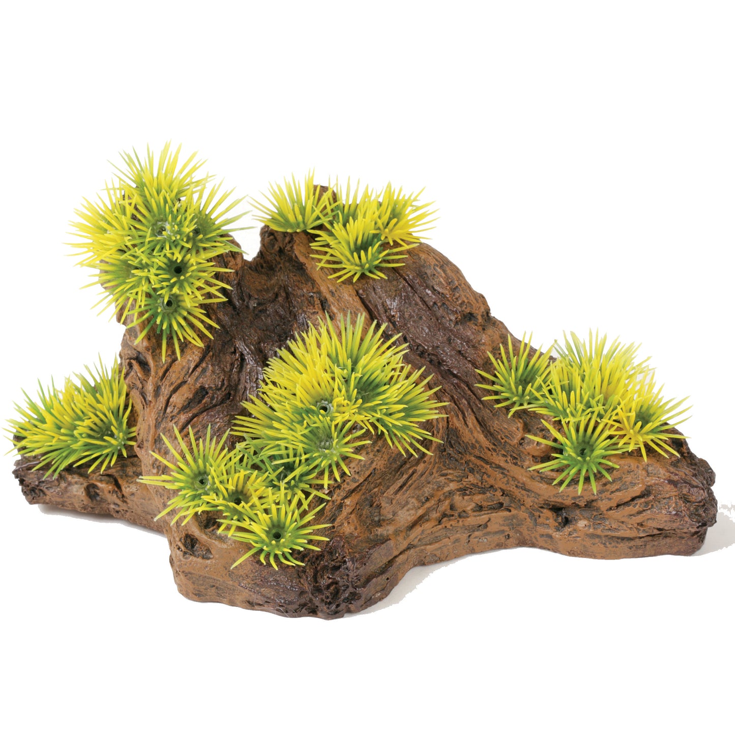 marina-naturals-foreground-driftwood-plants-medium