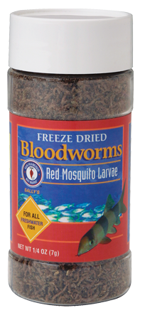 San Francisco Bay Freeze Dried Bloodworms –