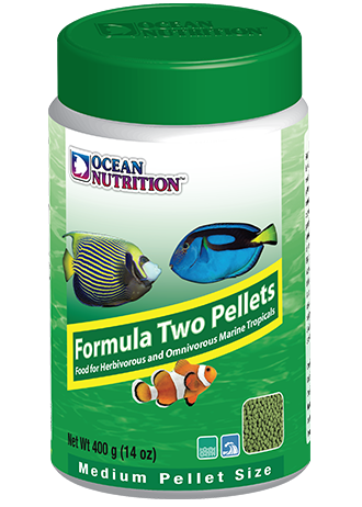 ocean-nutrition-formula-two-medium-pellets-14-oz