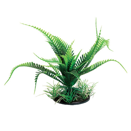 underwater-treasures-weeping-fern-green-6-inch