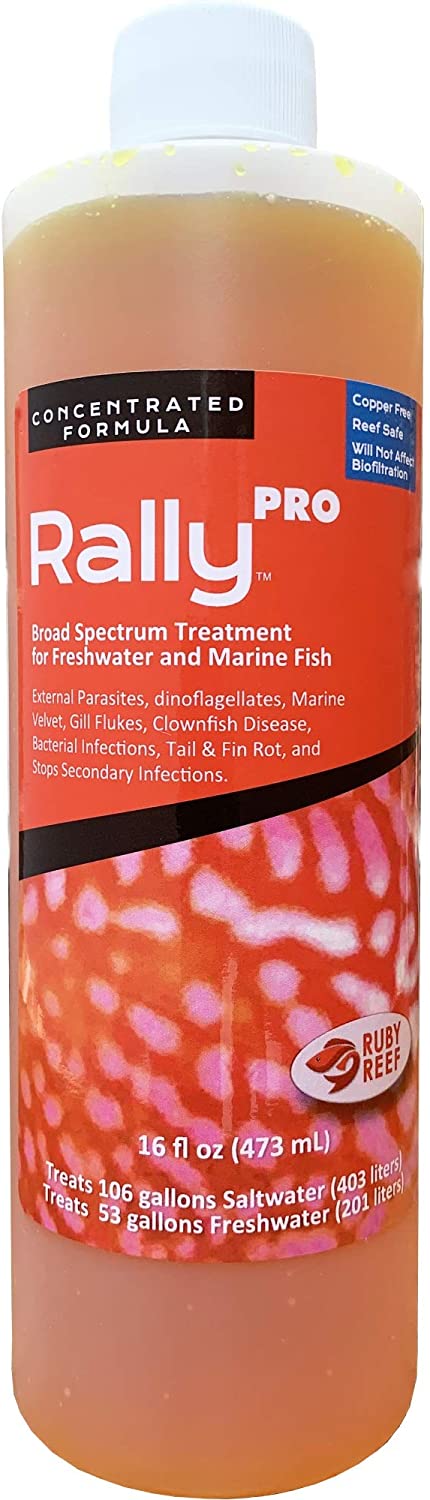 Ruby Reef Rally Pro – KensFish.com