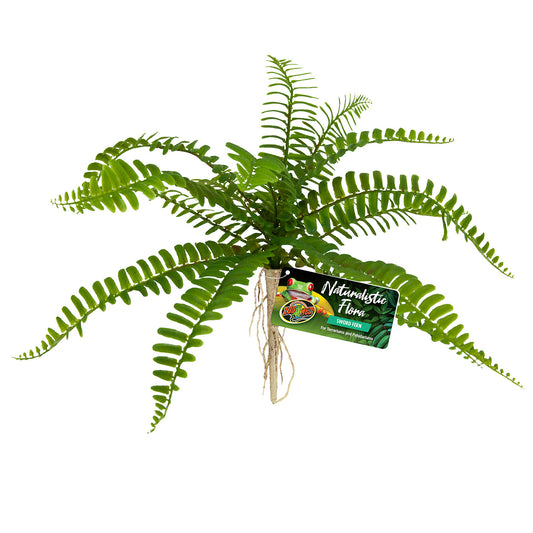 zoo-med-naturalistic-flora-sword-fern