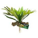 zoo-med-naturalistic-flora-staghorn-fern