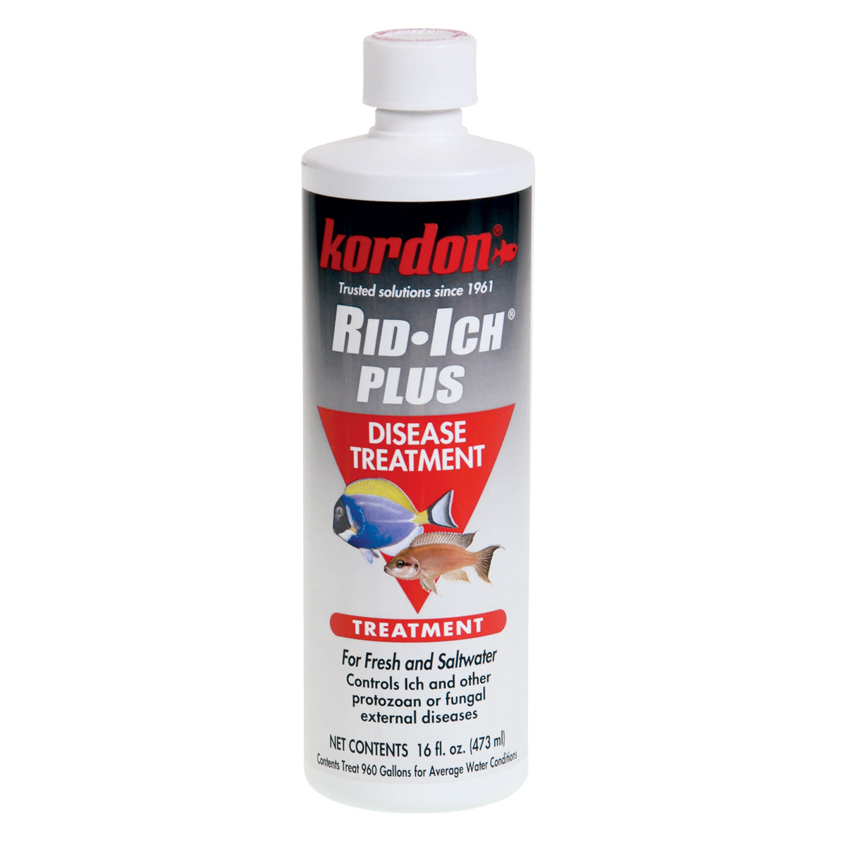 kordon-rid-ich-plus-16-oz