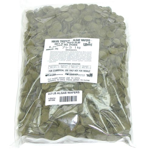 hikari-algae-wafers-2-2-lb