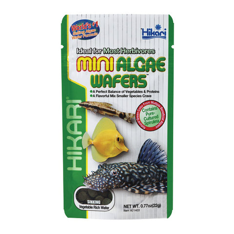 hikari-mini-algae-wafers-77-oz