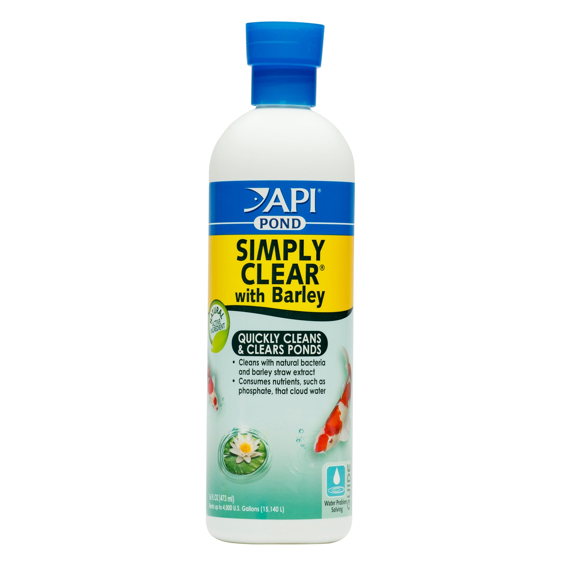 api-pond-simply-clear-16-oz