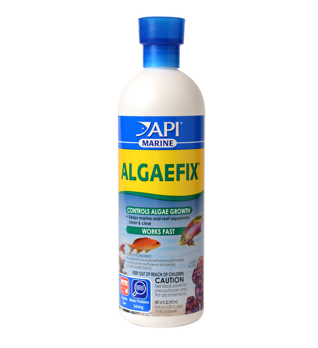 api-marine-algaefix-16-oz