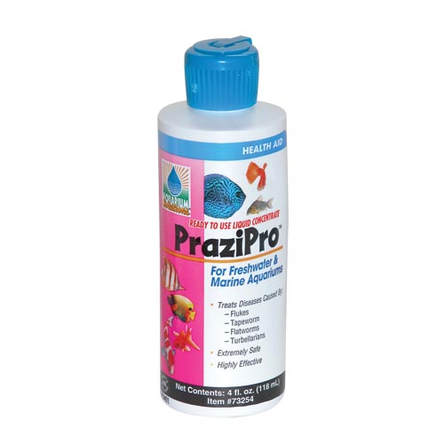 prazipro-4-oz