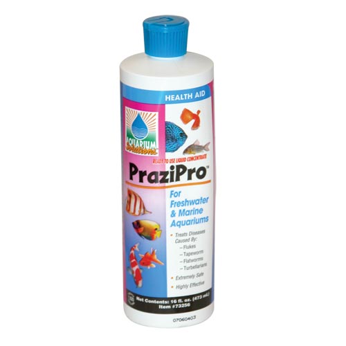 prazipro-8-oz