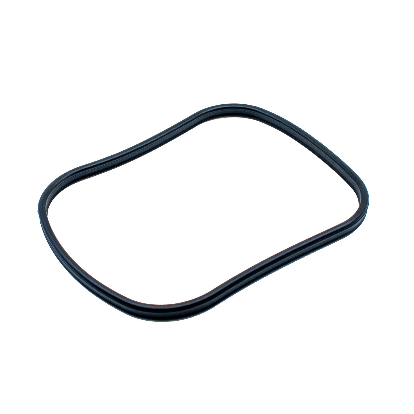 oase-main-gasket-biomaster-250-350-600