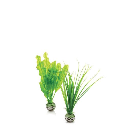 oase-easy-plant-set-small