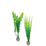 biorb-easy-plant-set-medium