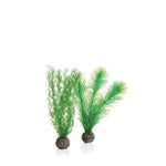 biorb-feather-fern-green-small