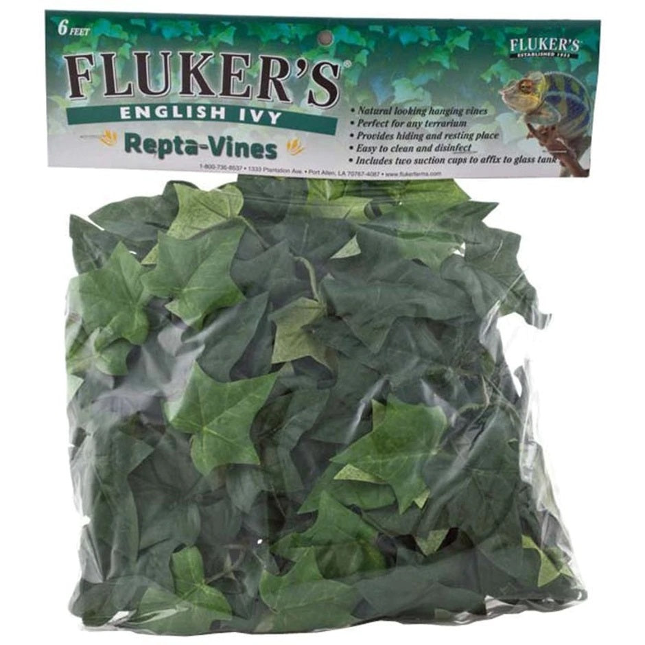 fluker-repta-vine-english-ivy