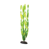underwater-treasures-green-vallisneria-plant-16-inch
