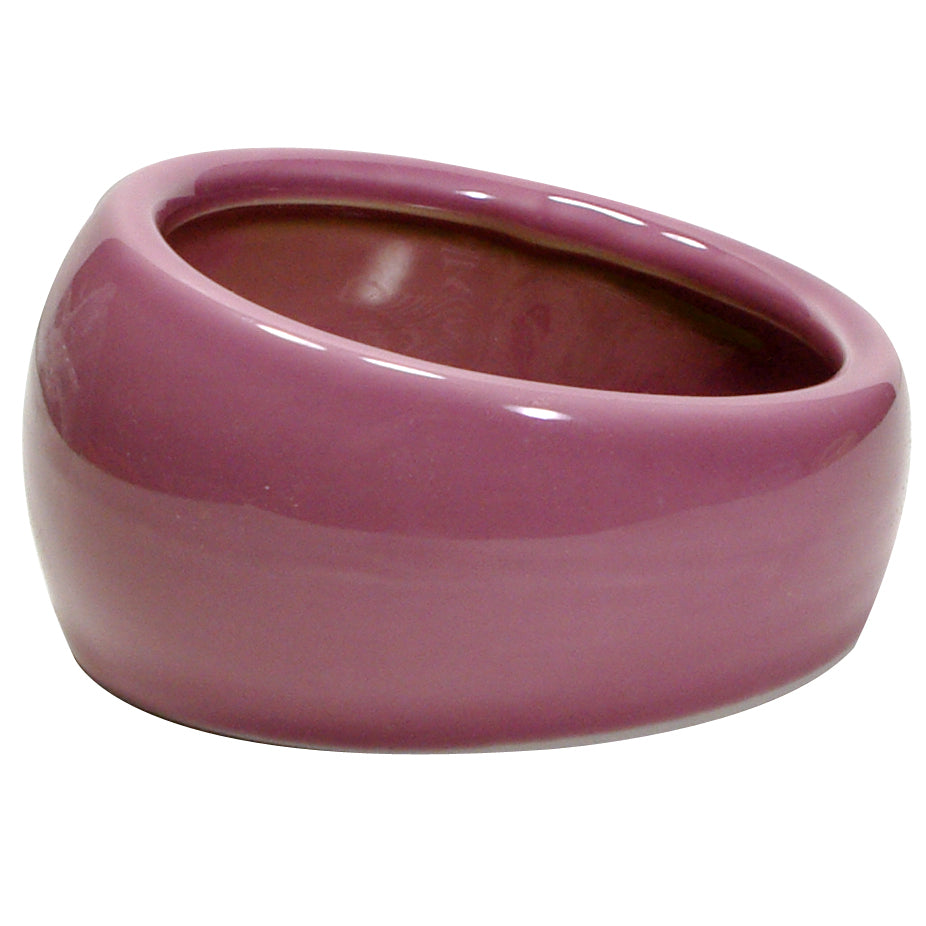 living-world-ergonomic-dish-pink-small