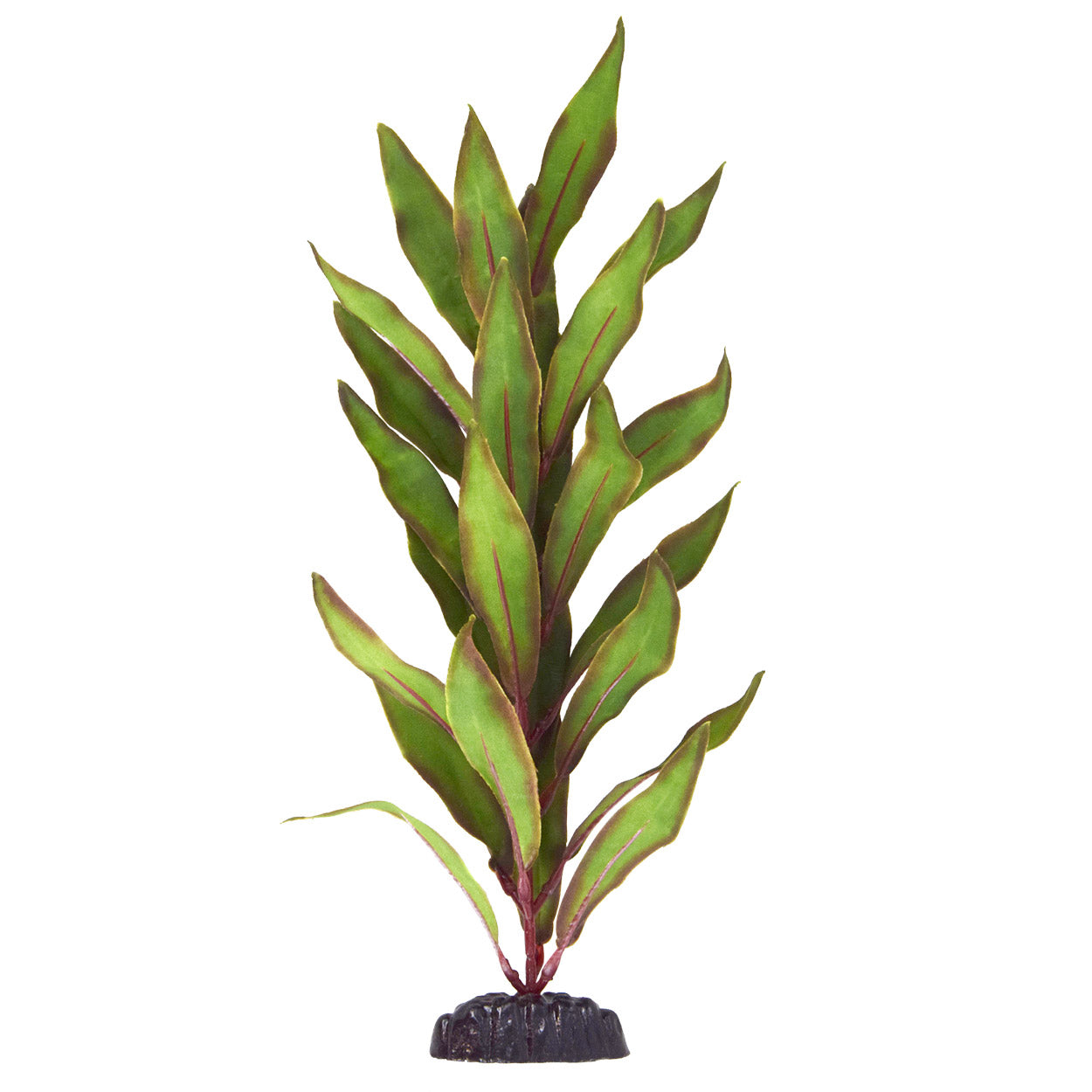 underwater-treasures-olive-hygro-silk-plant-12-inch