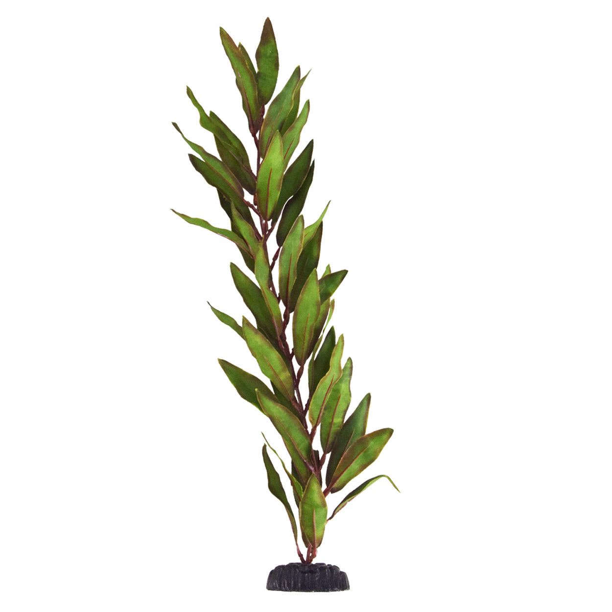 underwater-treasures-olive-hygro-silk-plant-20-inch