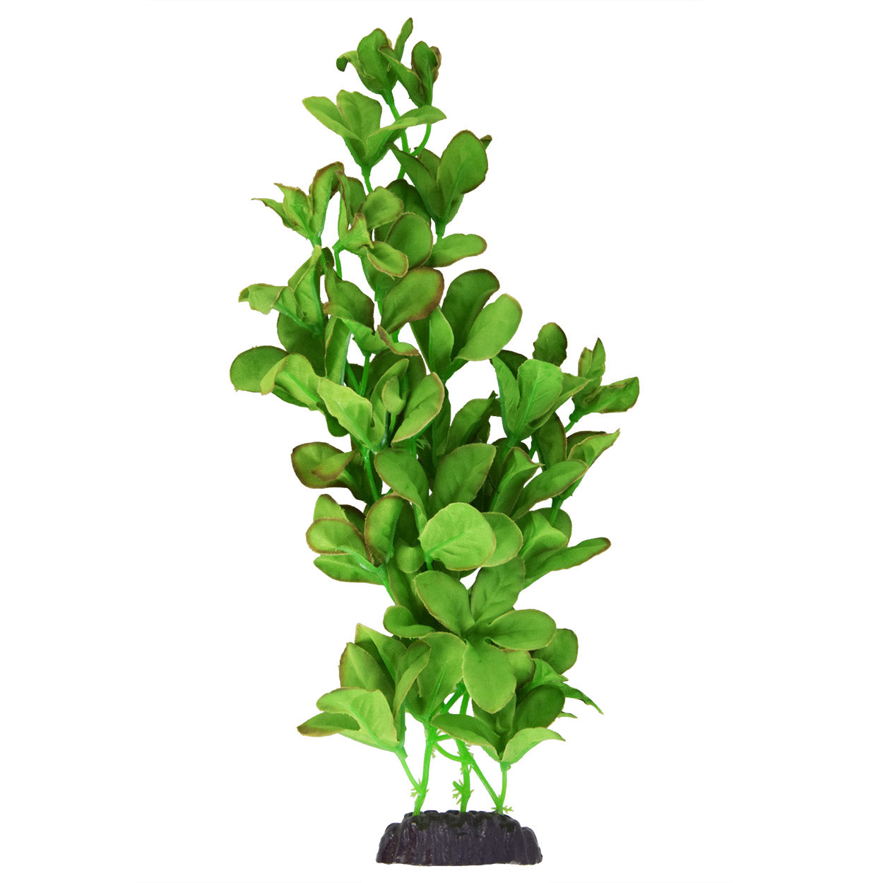 underwater-treasures-bacopa-monnieri-silk-plant-12-inch