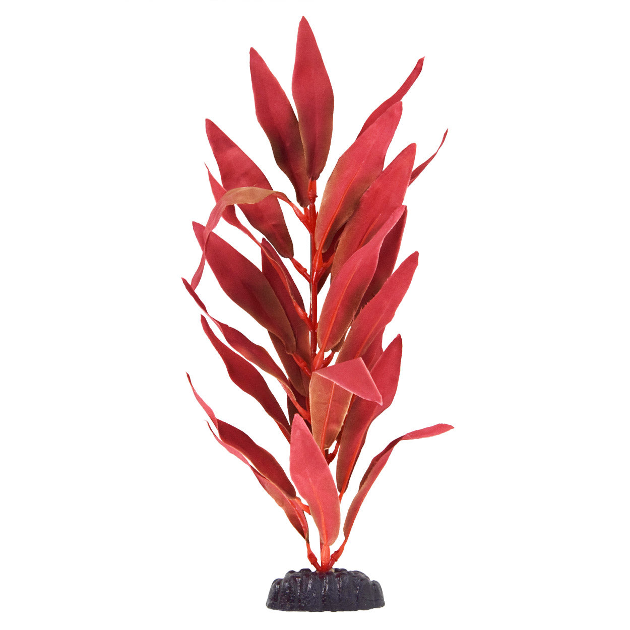 underwater-treasures-red-hygro-silk-plant-12-inch