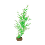 tetra-glofish-plant-green-white-large