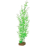 tetra-glofish-plant-green-white-xlarge