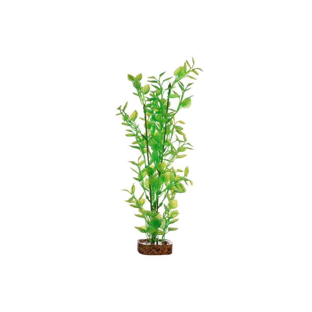 tetra-glofish-plant-green-yellow-large