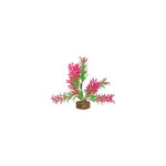 tetra-glofish-plant-green-pink-small