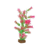 tetra-glofish-plant-green-pink-large