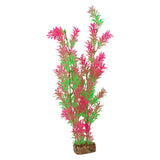 tetra-glofish-plant-green-pink-xlarge