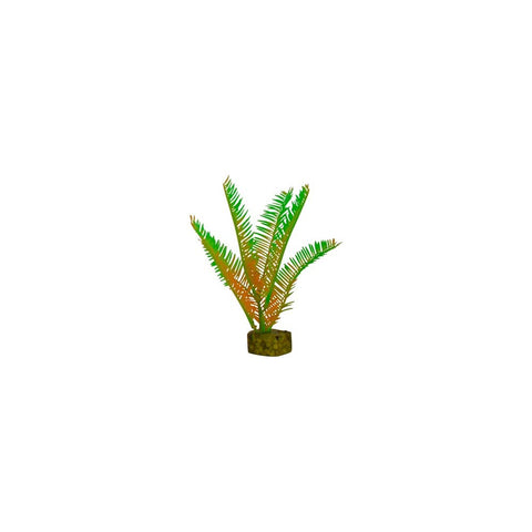 tetra-glofish-plant-green-orange-small