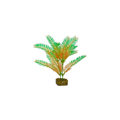 tetra-glofish-plant-green-orange-medium