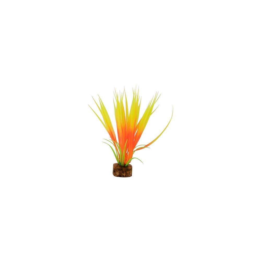 tetra-glofish-plant-orange-yellow-small