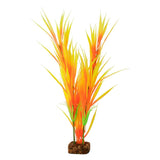 tetra-glofish-plant-orange-yellow-large