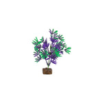 tetra-glofish-plant-purple-green-medium