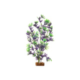 tetra-glofish-plant-purple-green-large