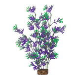 tetra-glofish-plant-purple-green-xlarge