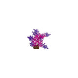 tetra-glofish-plant-purple-pink-small