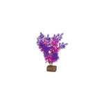tetra-glofish-plant-purple-pink-medium