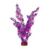 tetra-glofish-plant-purple-pink-xlarge