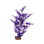tetra-glofish-plant-purple-white-medium