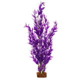 tetra-glofish-plant-purple-white-xlarge