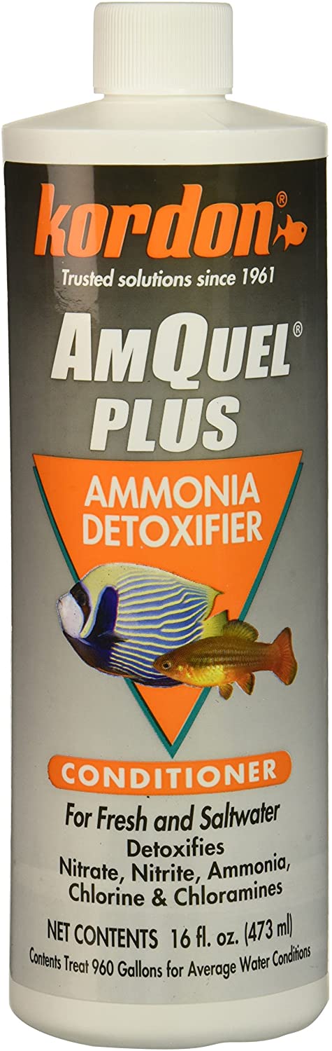 kordon-amquel-plus-16-oz