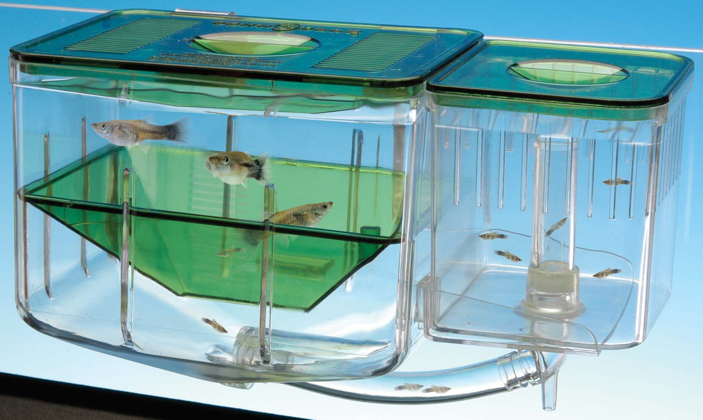 Penn Plax Aqua Nursery –