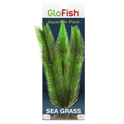 tetra-glofish-sea-grass-aquarium-plant