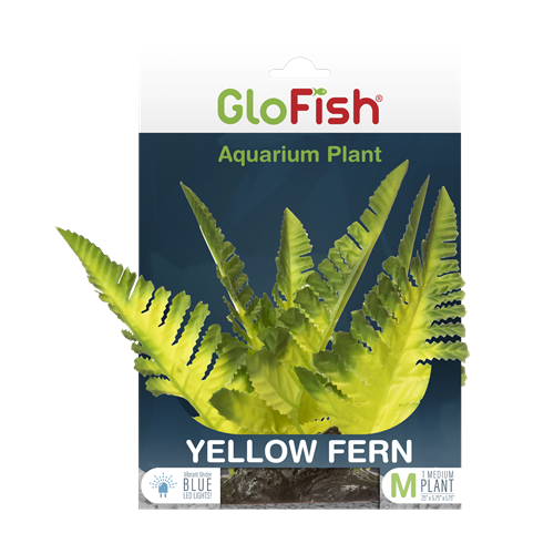 tetra-glofish-yellow-fern-aquarium-plant